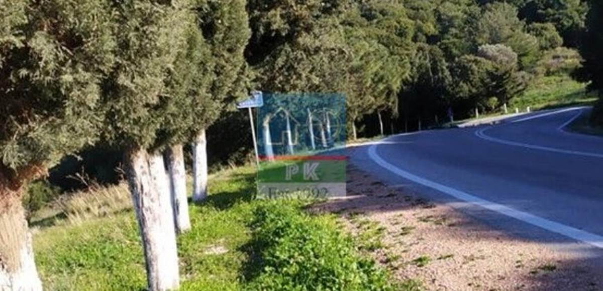 Ρόδος, Σαλάκος. Πώληση Γεωτεμαχίου 37.011 Μ2.