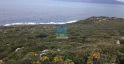 Ζάκυνθος, Ελάτιο, Κορίθι. Πώληση Αγροτεμαχίου 135.000 Μ2.
