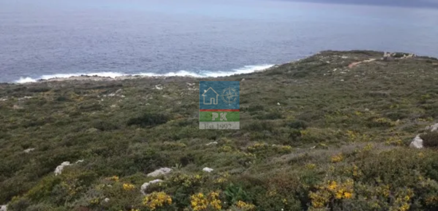 Ζάκυνθος, Ελάτιο, Κορίθι. Πώληση Αγροτεμαχίου 135.000 Μ2.