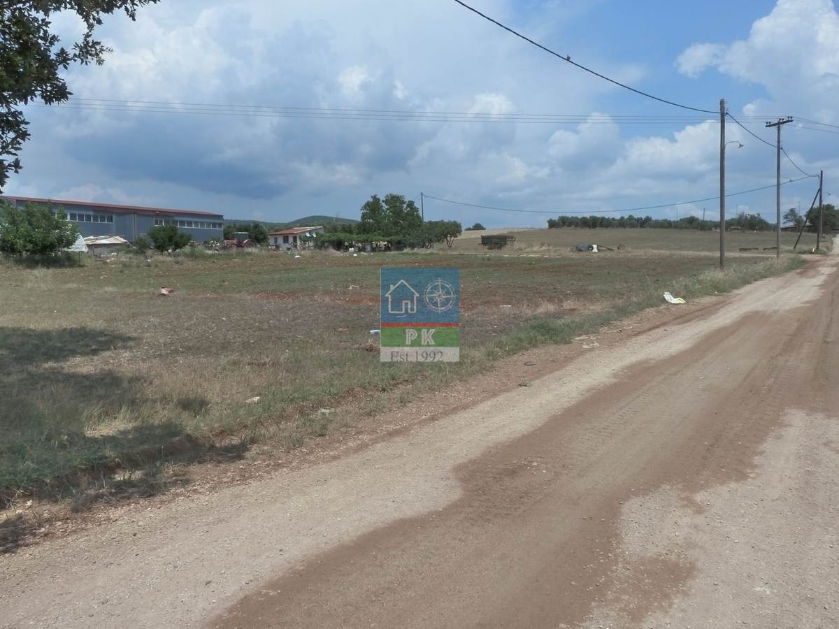 Αλεξ/πολη. Πώληση Αγροτεμαχίου 3.944 Μ2.