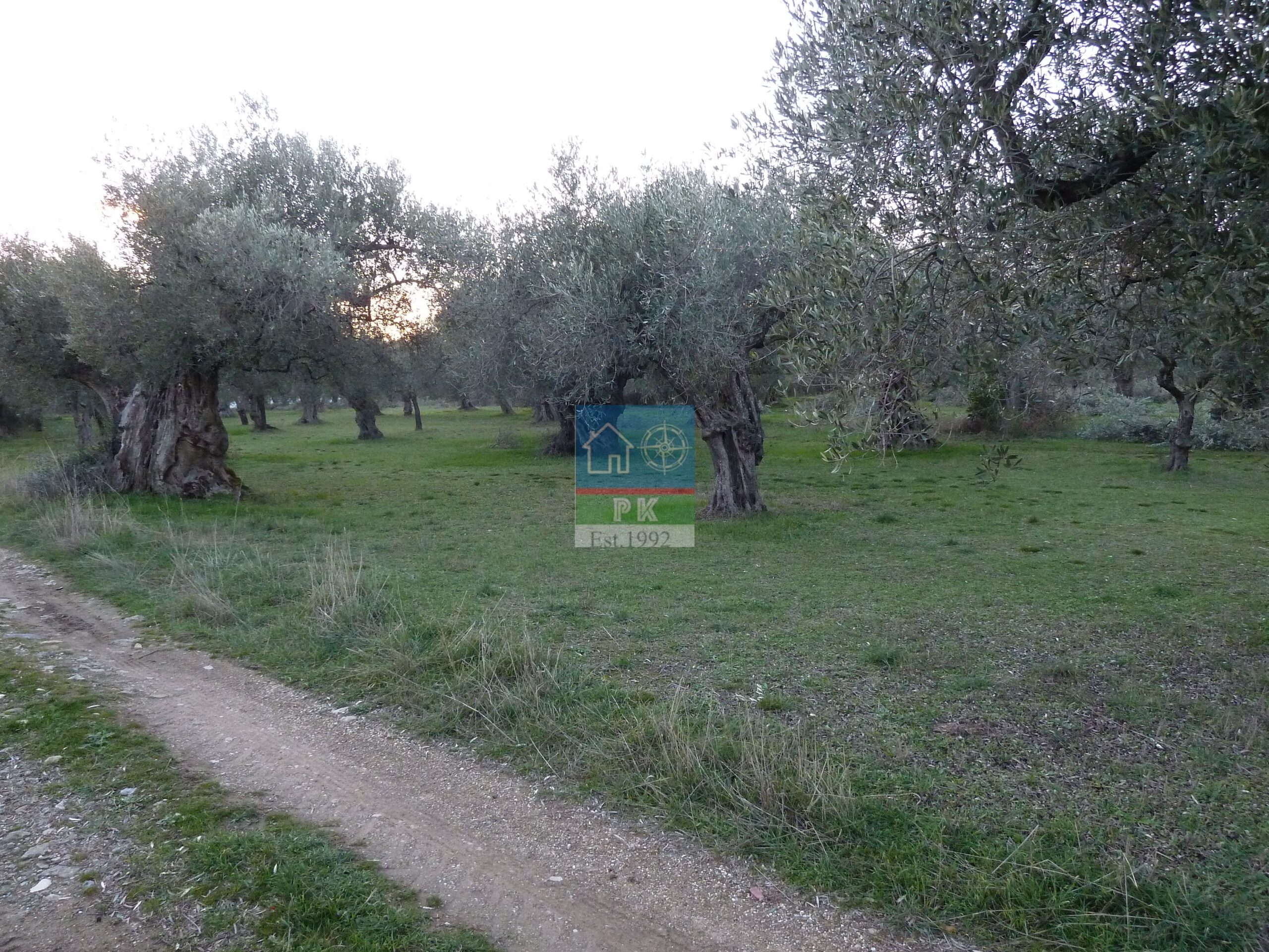 Αλεξ/πολη, Μάκρη, Αγ. Γεώργιος. Πώληση Αγροτεμαχίου 2.033 Μ2.