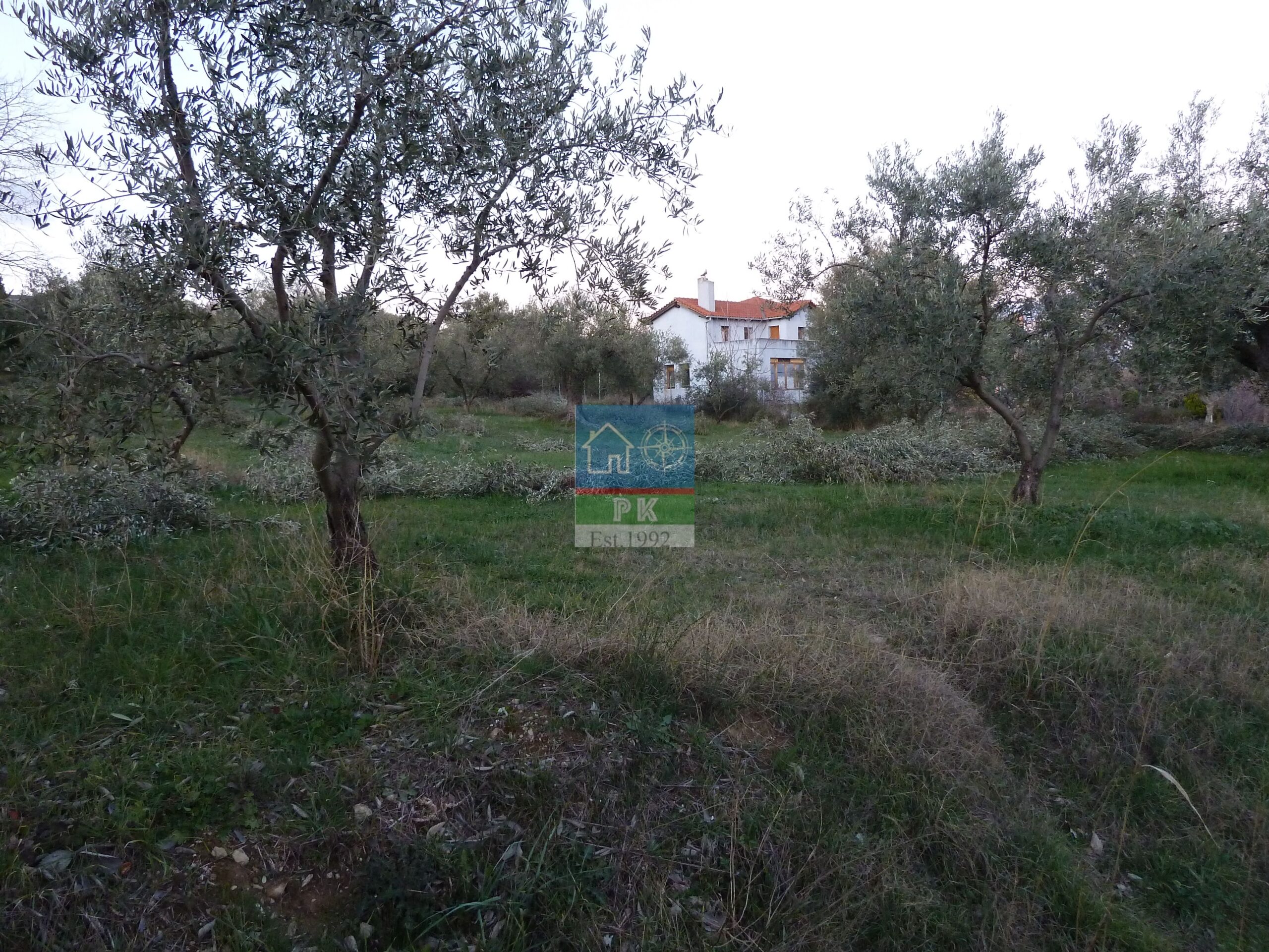 Αλεξ/πολη, Μάκρη. Πώληση Αγροτεμαχίου 2.180 Μ2.