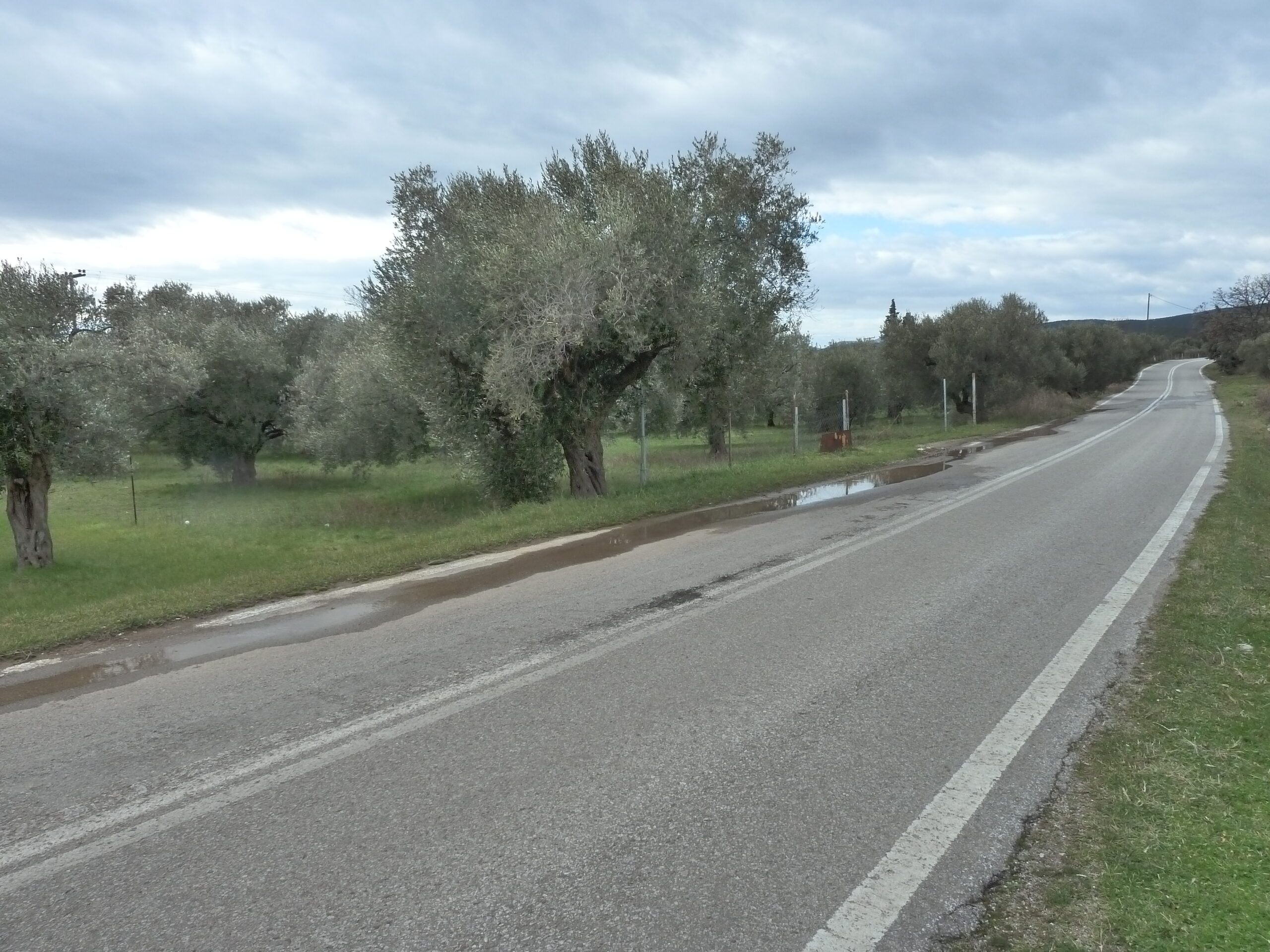 Alex/polis, Dikella. For Sale 2,600 M2 buildable plot of land.